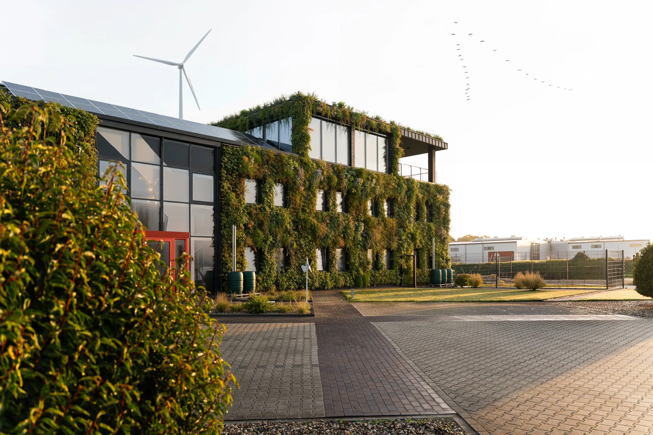 Schmees Retouch Low Res (6 von 9).jpg